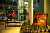 Mostra a Berlino